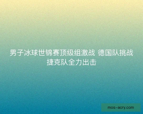 男子冰球世锦赛顶级组激战 德国队挑战捷克队全力出击