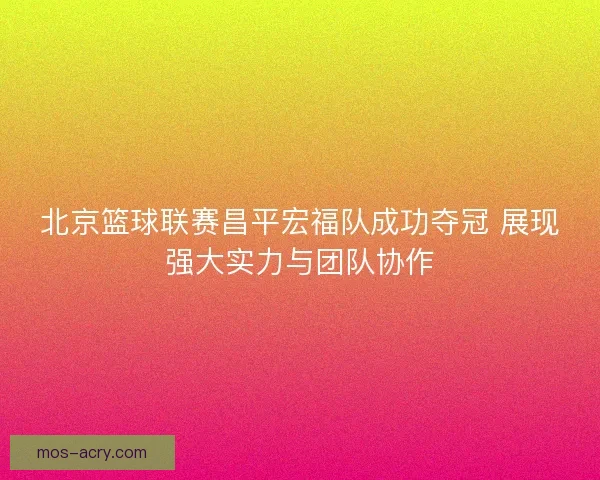 北京篮球联赛昌平宏福队成功夺冠 展现强大实力与团队协作