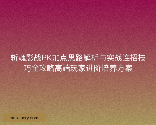 斩魂影战PK加点思路解析与实战连招技巧全攻略高端玩家进阶培养方案