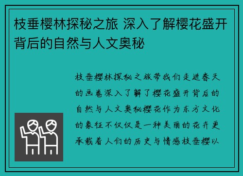 枝垂樱林探秘之旅 深入了解樱花盛开背后的自然与人文奥秘